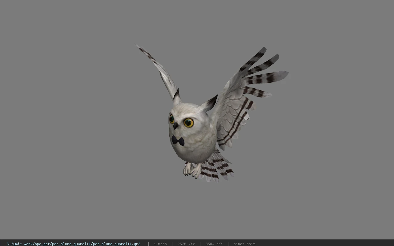 pet_alune_quarel11