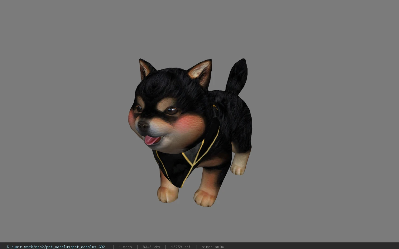 pet_catelus