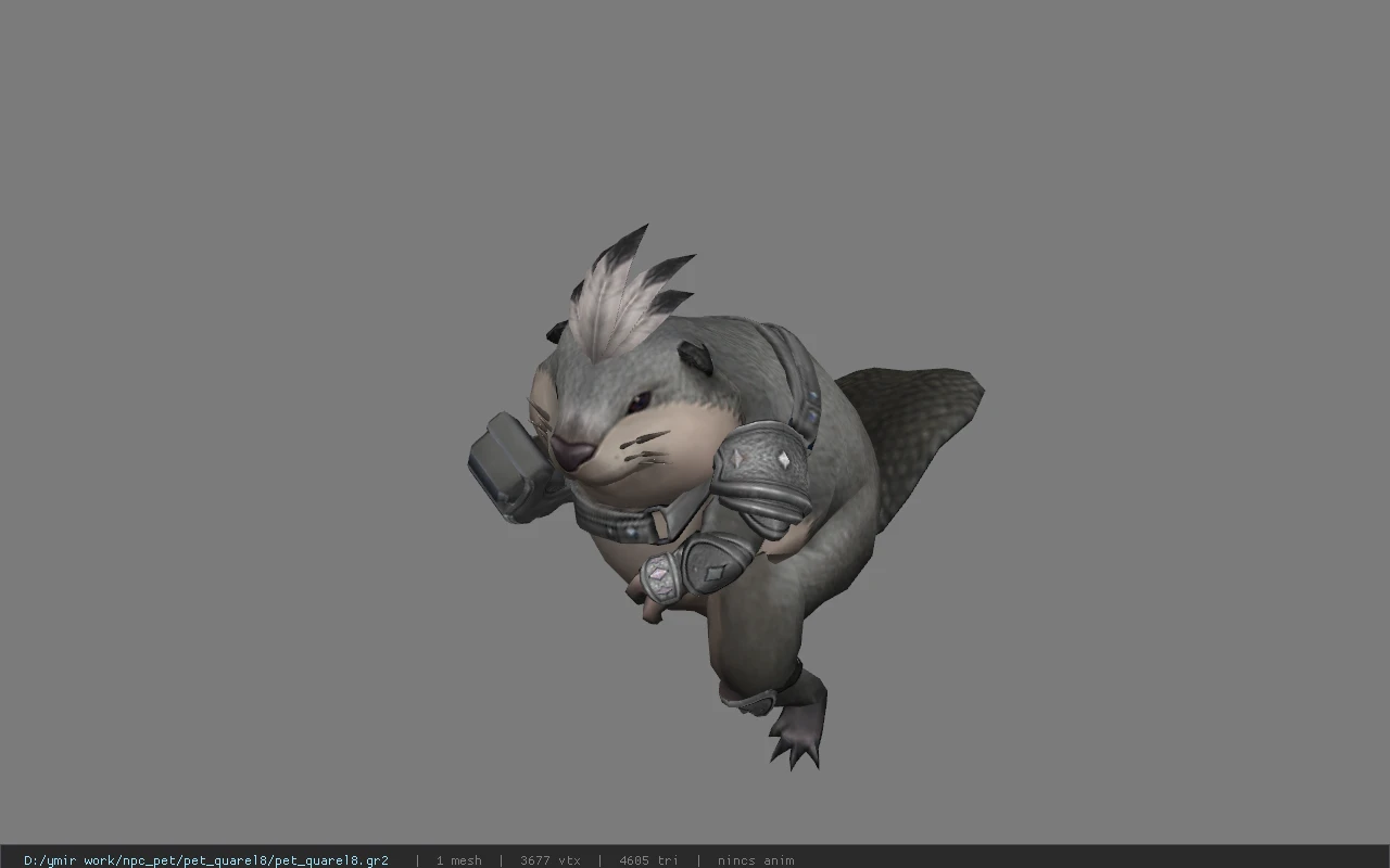 pet_quarel8