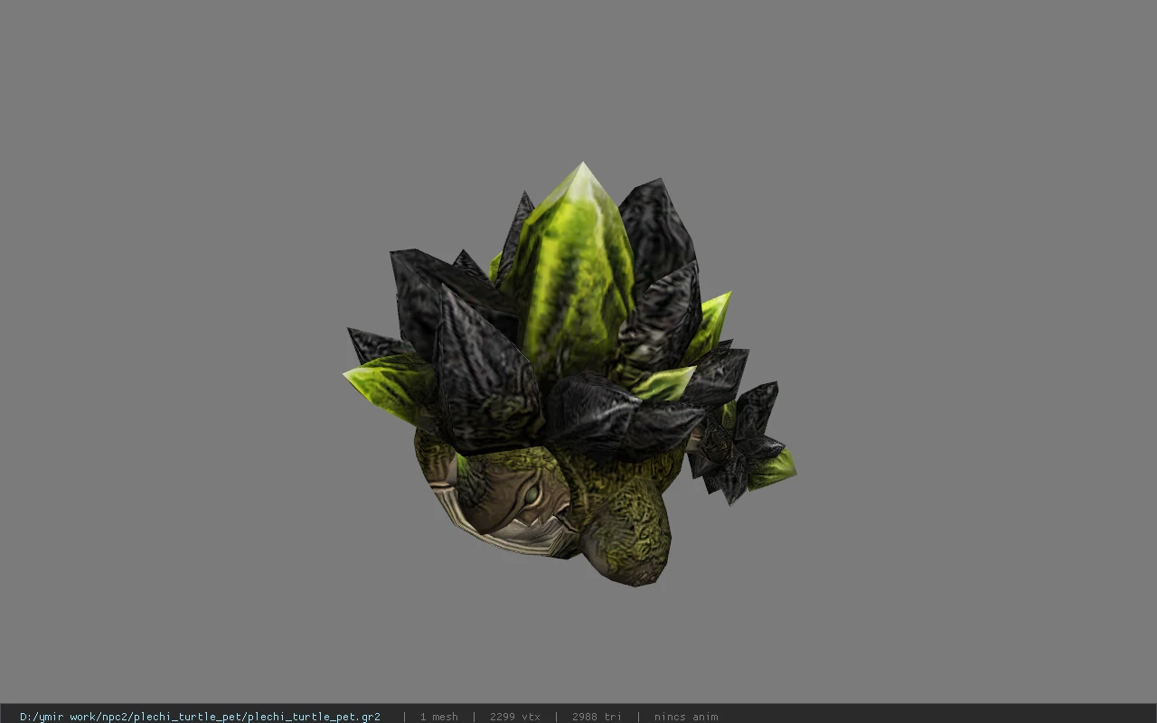 plechi_turtle_pet