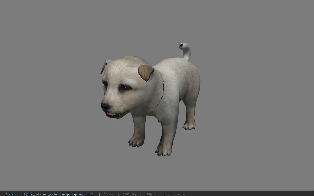 puppy