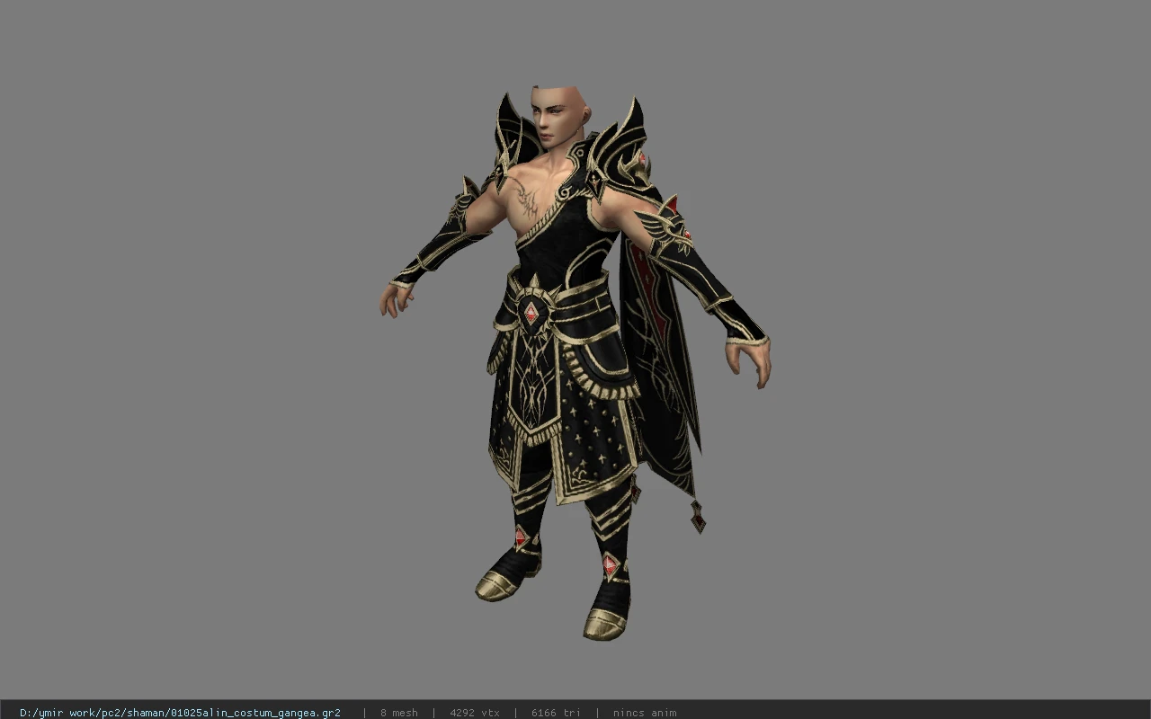 01025alin_costum_gangea