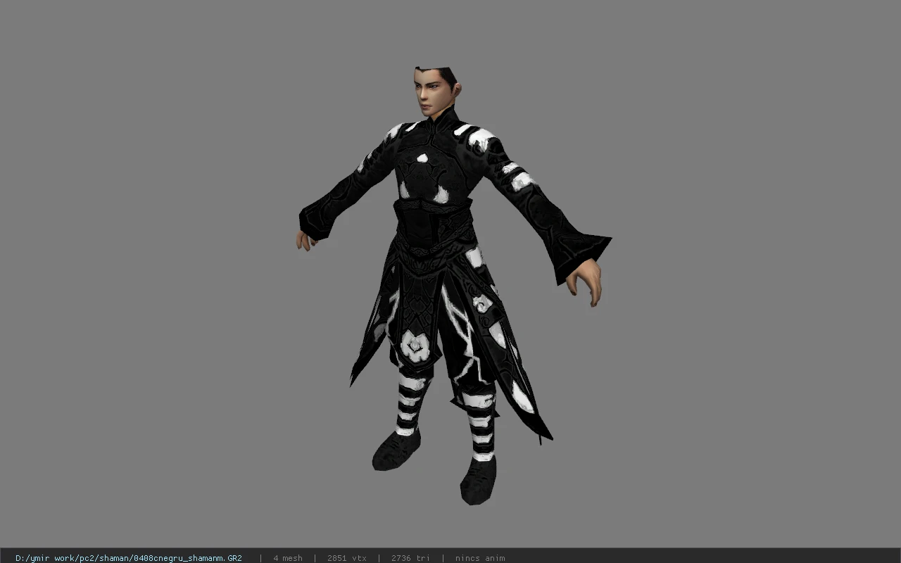 0408cnegru_shamanm