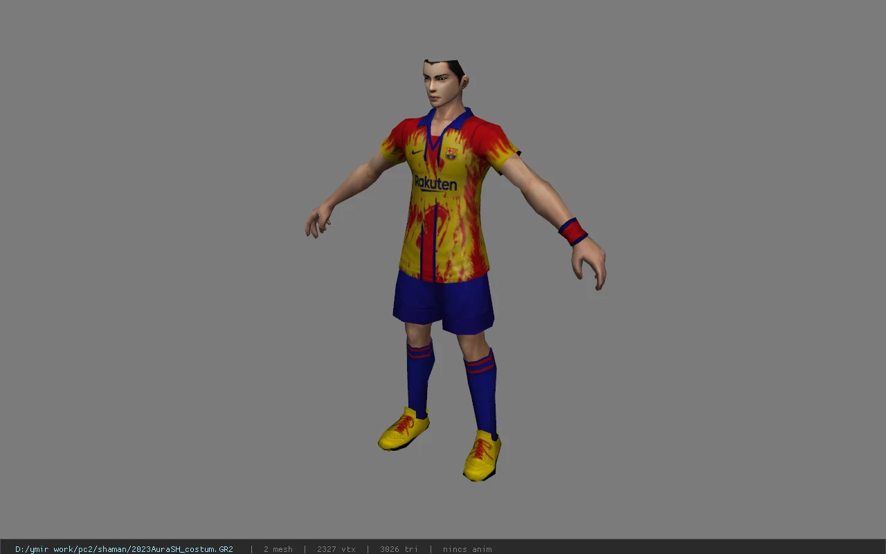 2023AuraSH_costum
