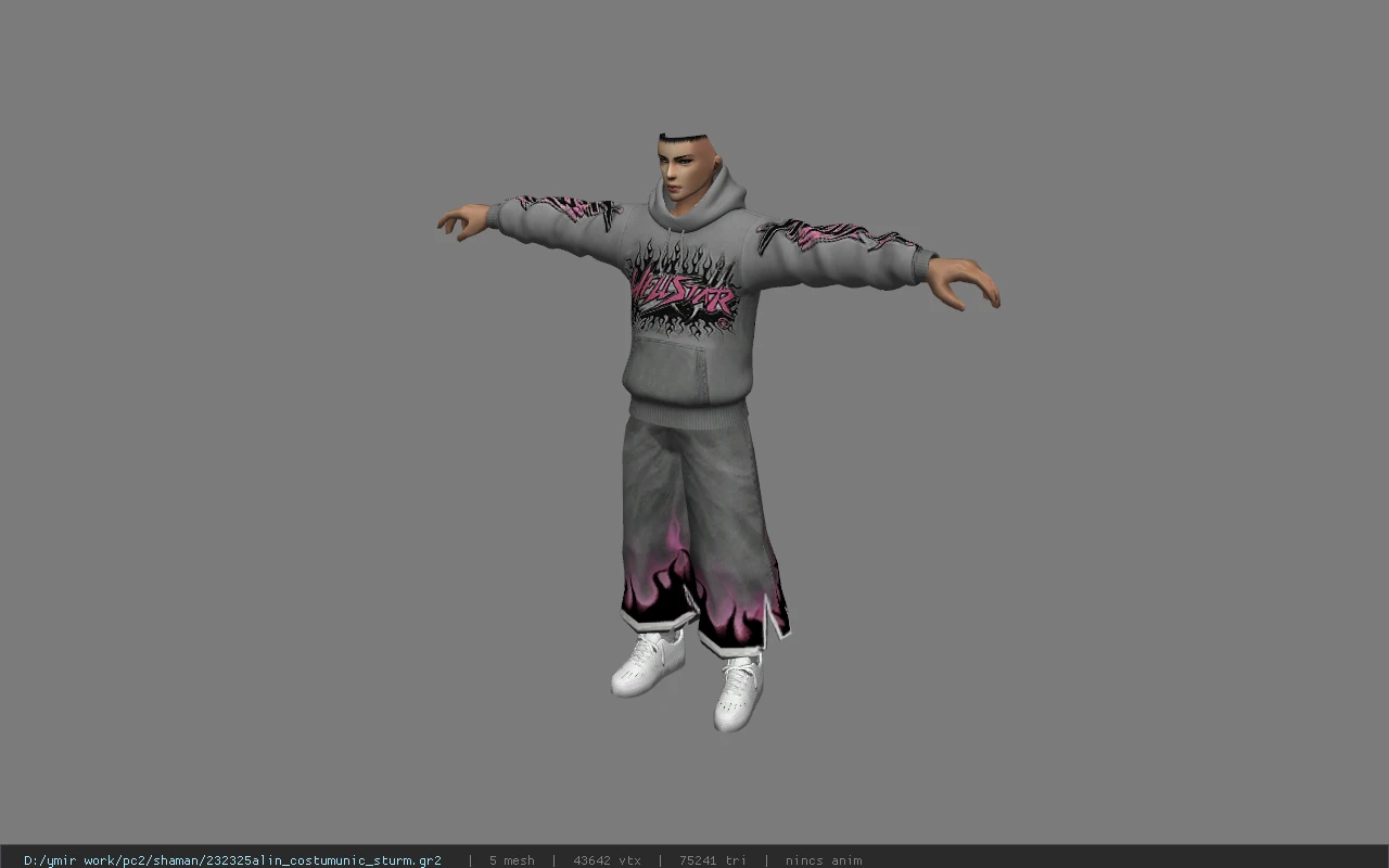 232325alin_costumunic_sturm