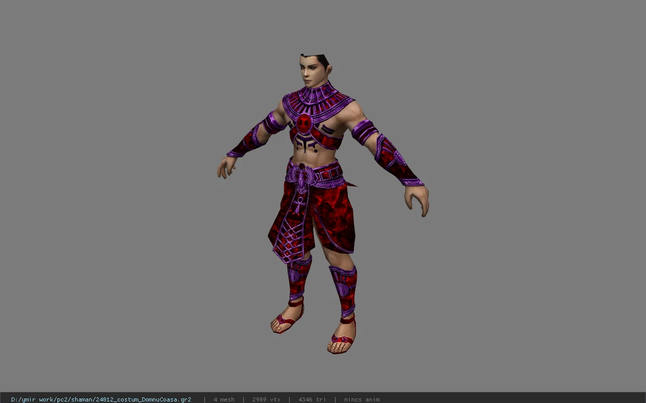 24012_costum_DomnuCoasa