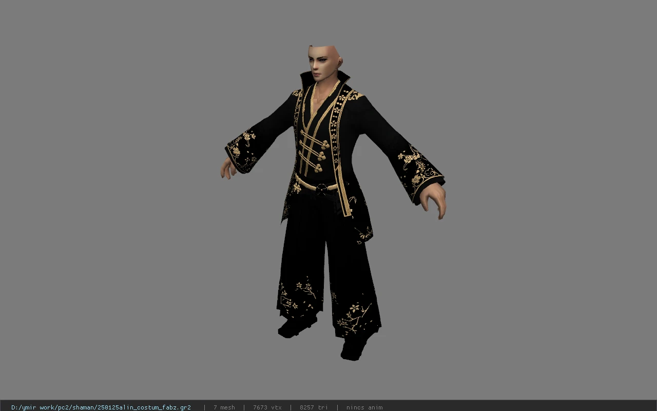 250125alin_costum_fabz