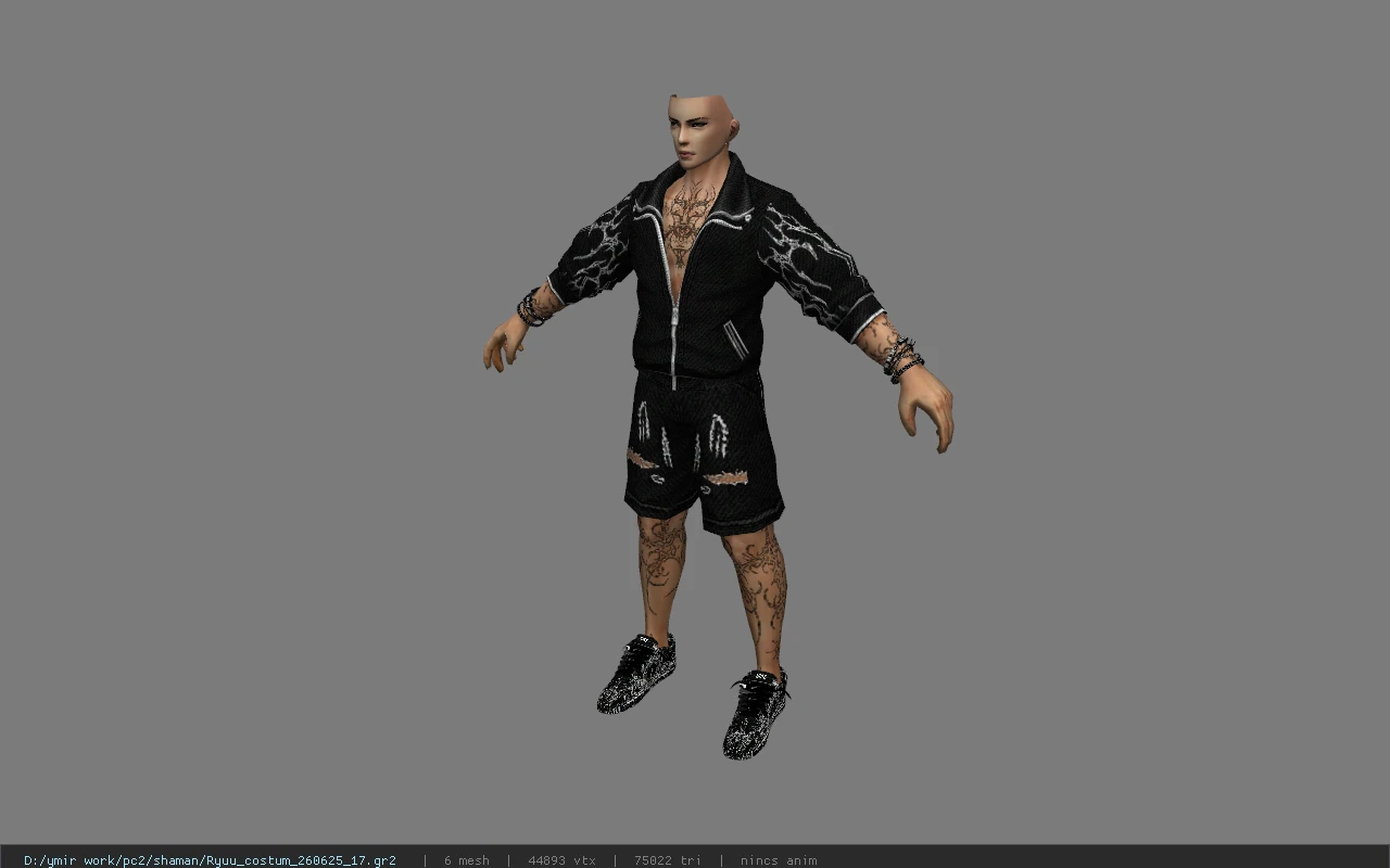 Ryuu_costum_260625_17