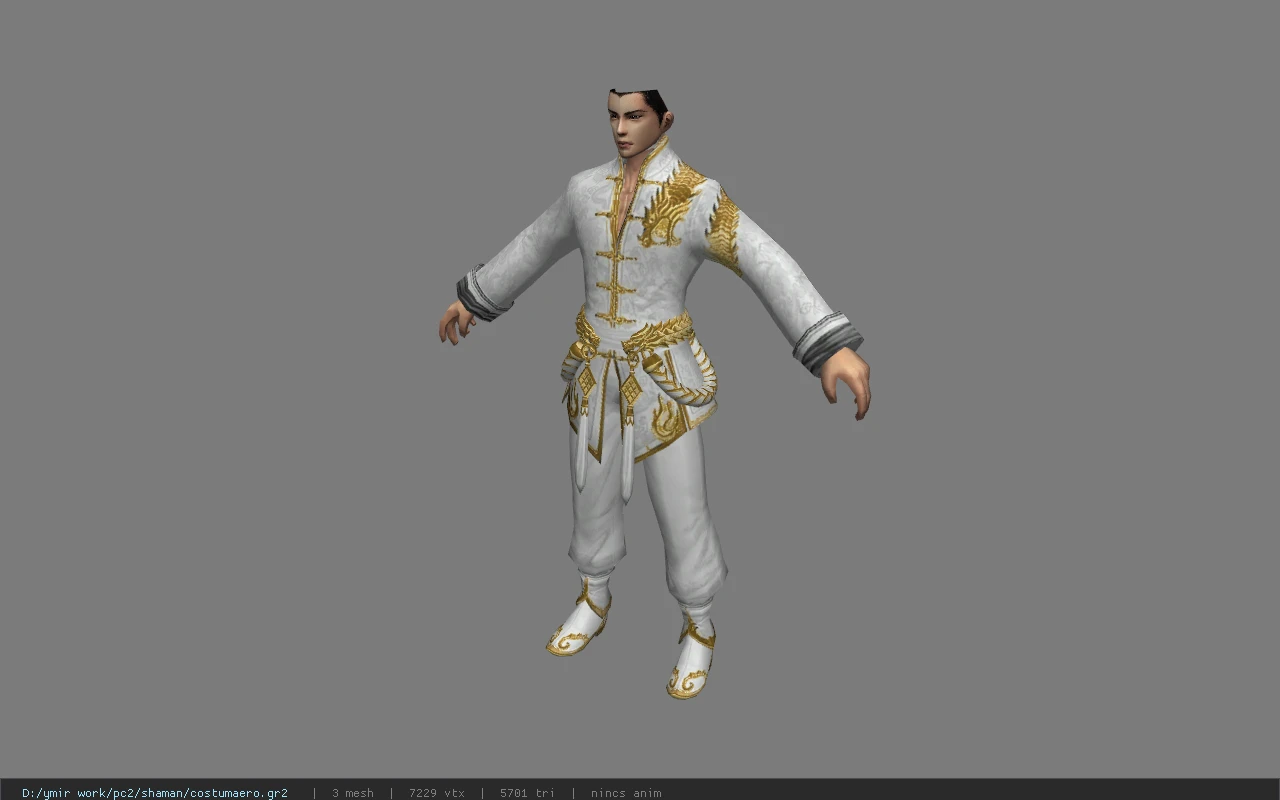 costumaero