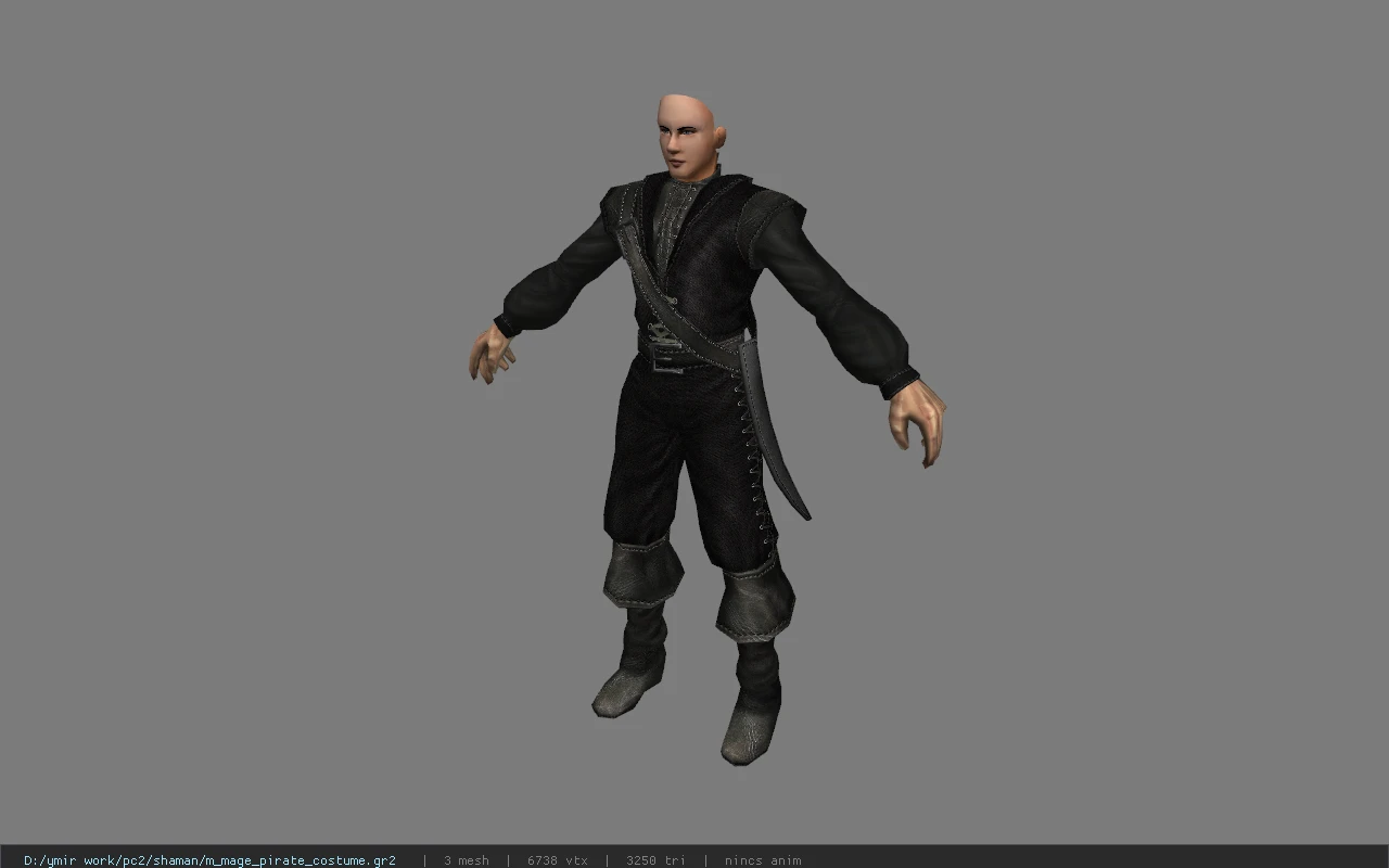 m_mage_pirate_costume