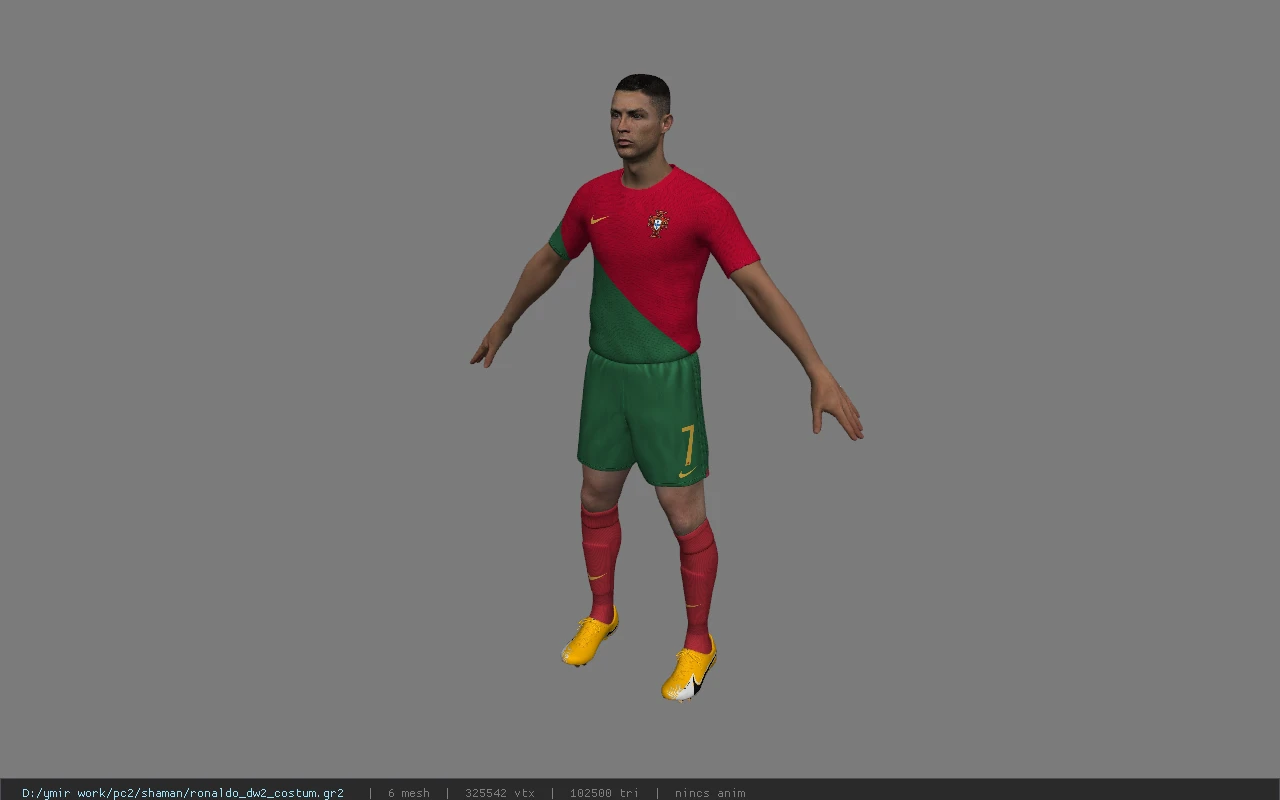 ronaldo_dw2_costum