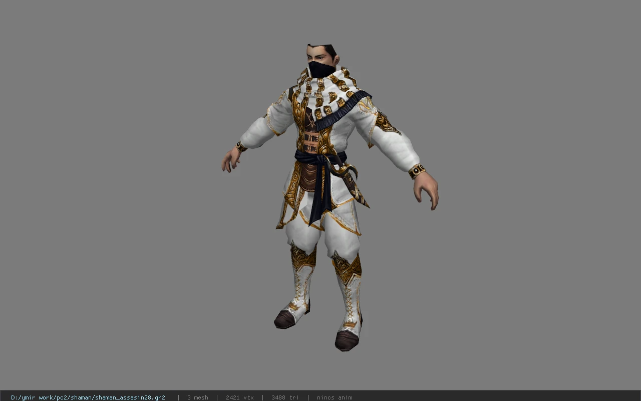 shaman_assasin28