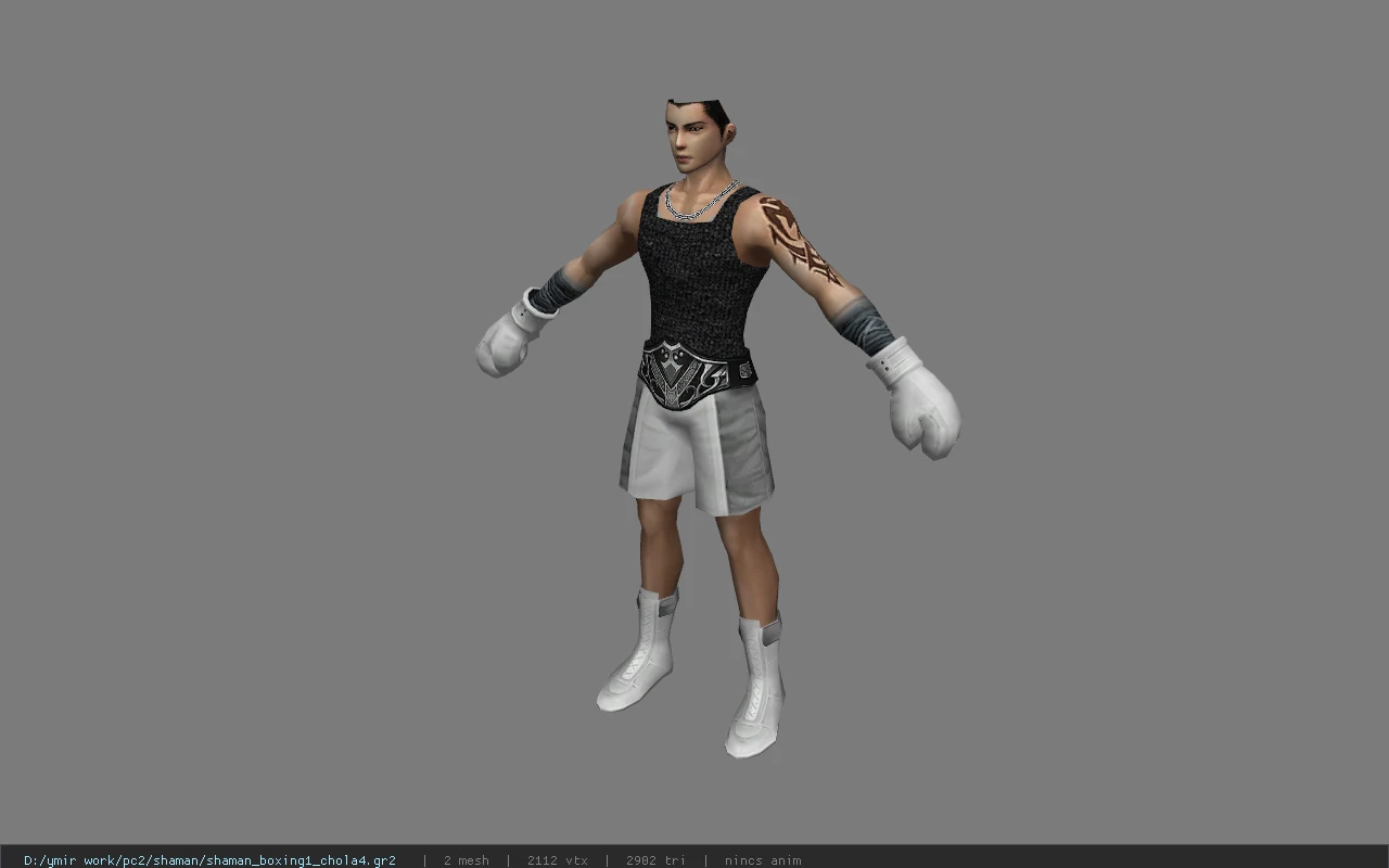 shaman_boxing1_chola4