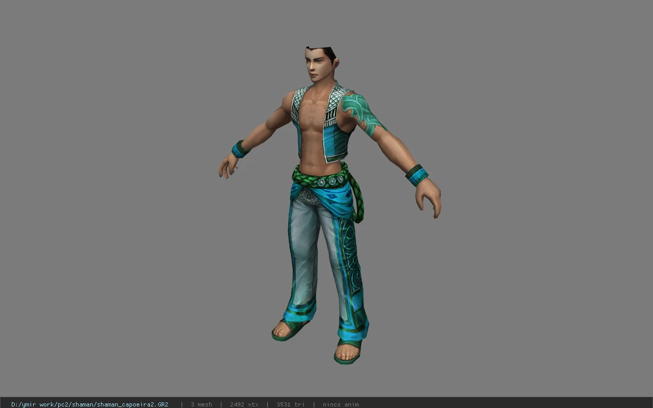 shaman_capoeira2