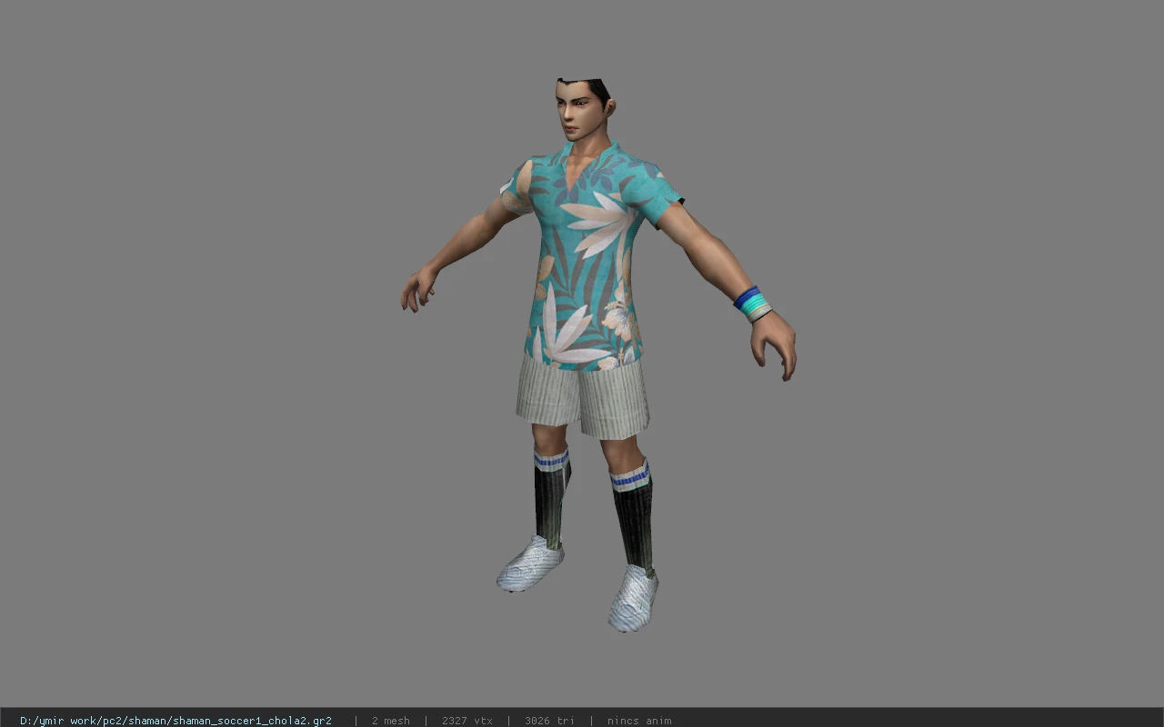 shaman_soccer1_chola2