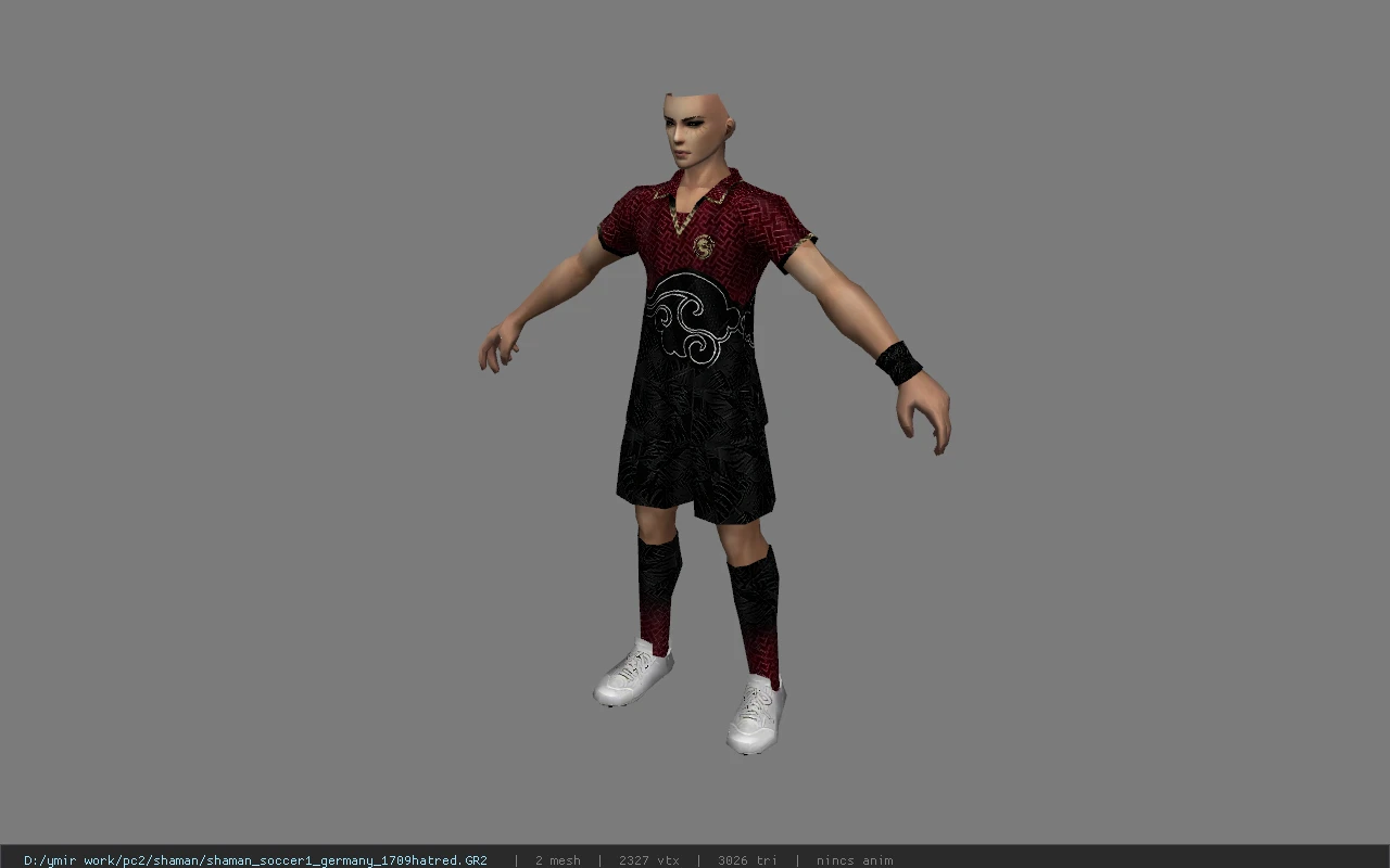 shaman_soccer1_germany_1709hatred
