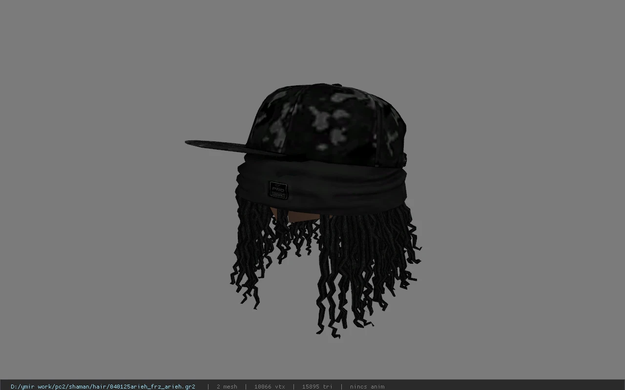 040125arieh_frz_arieh