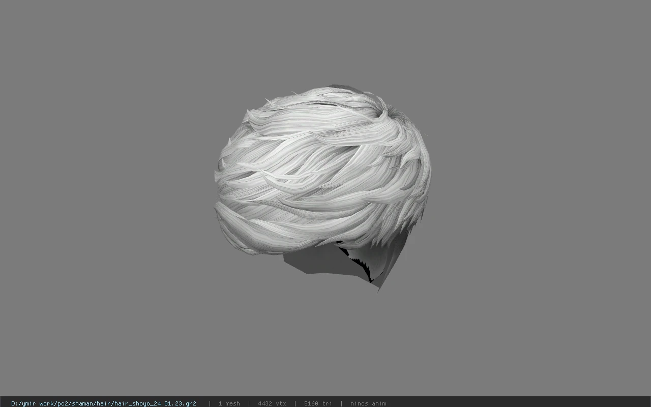 hair_shoyo_24.01.23