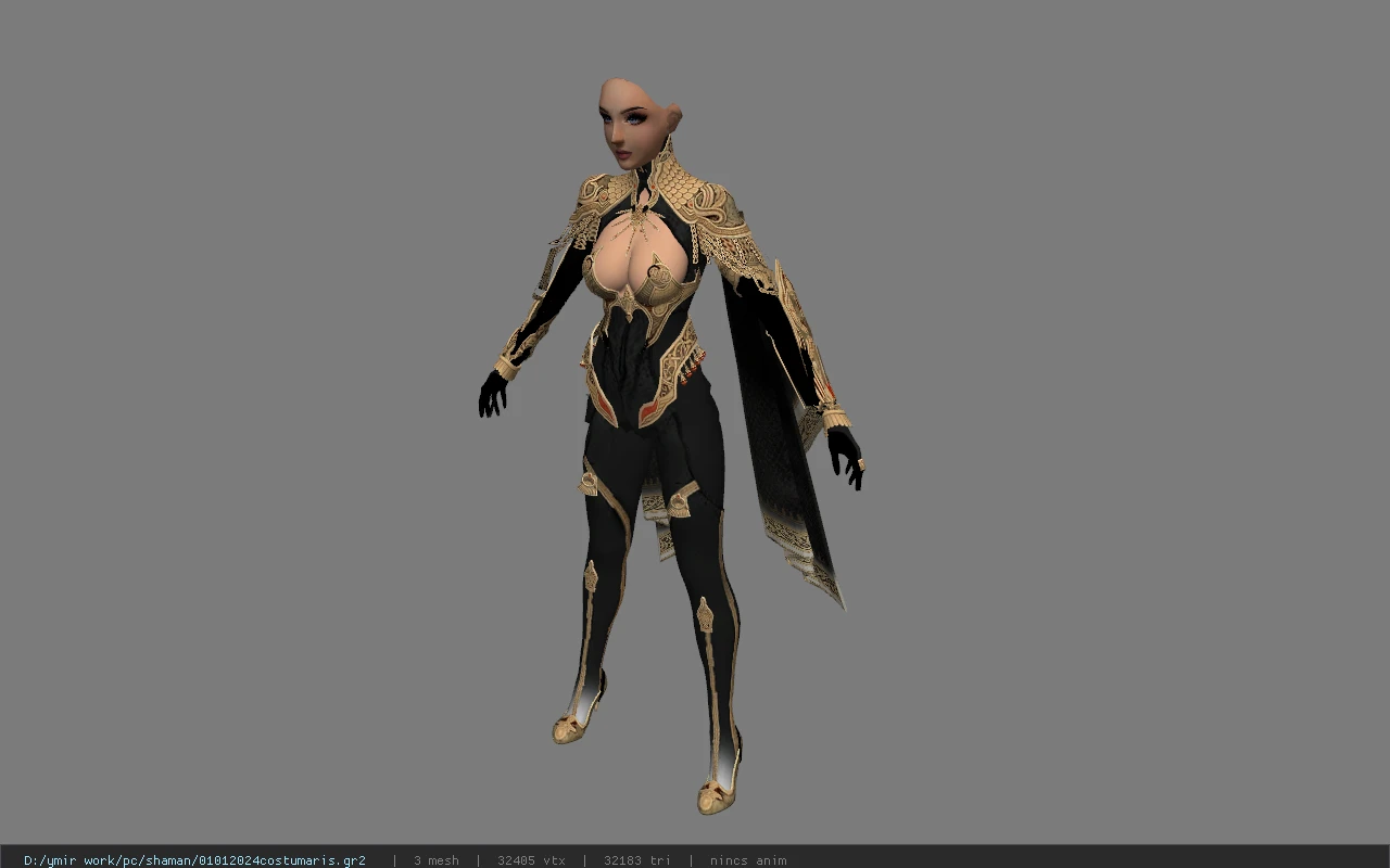 01012024costumaris