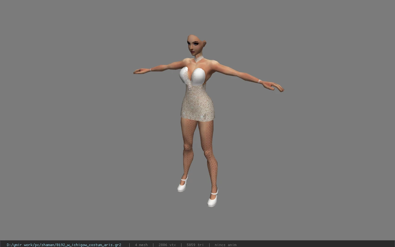 0192_w_ichigow_costum_aris