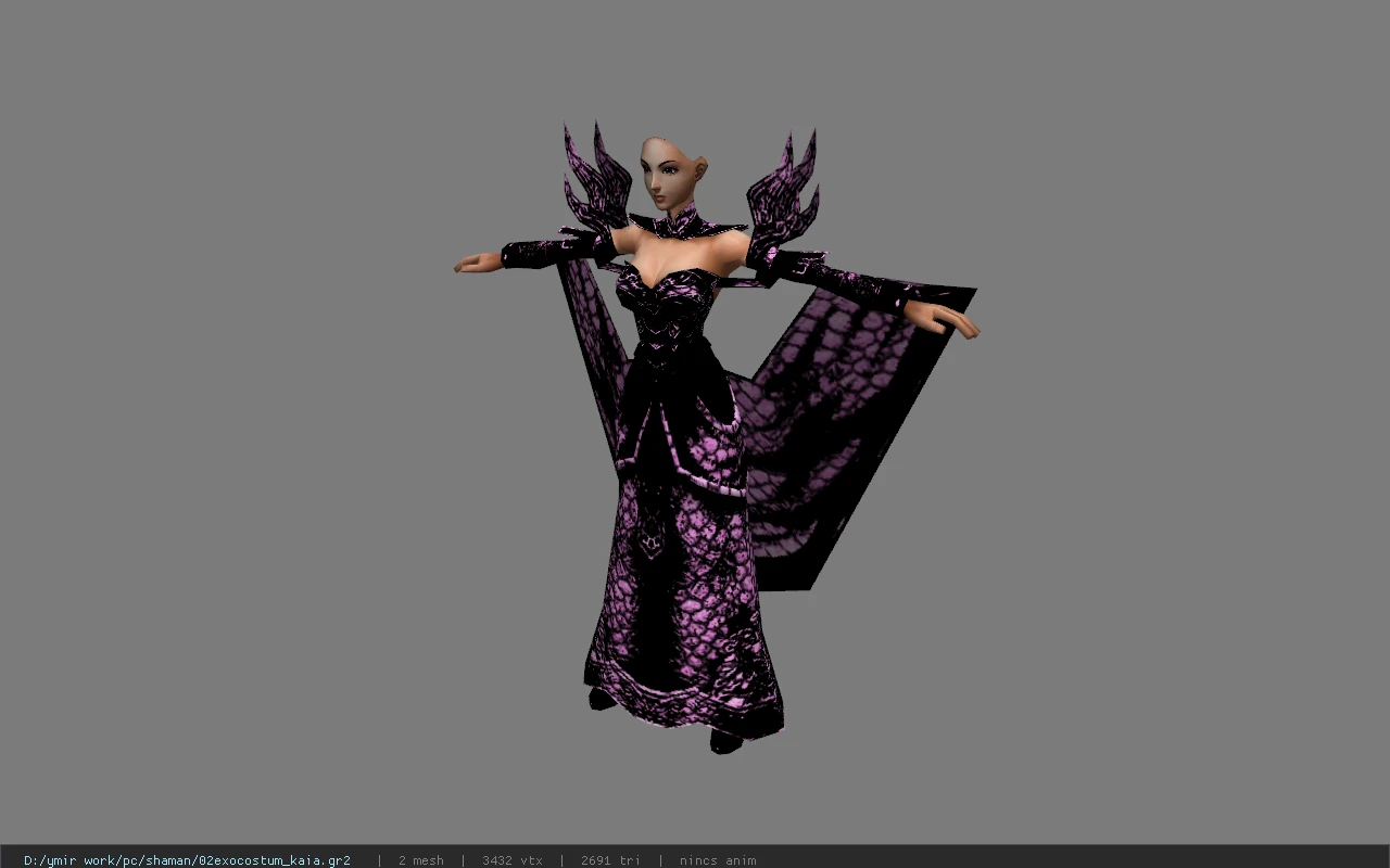 02exocostum_kaia