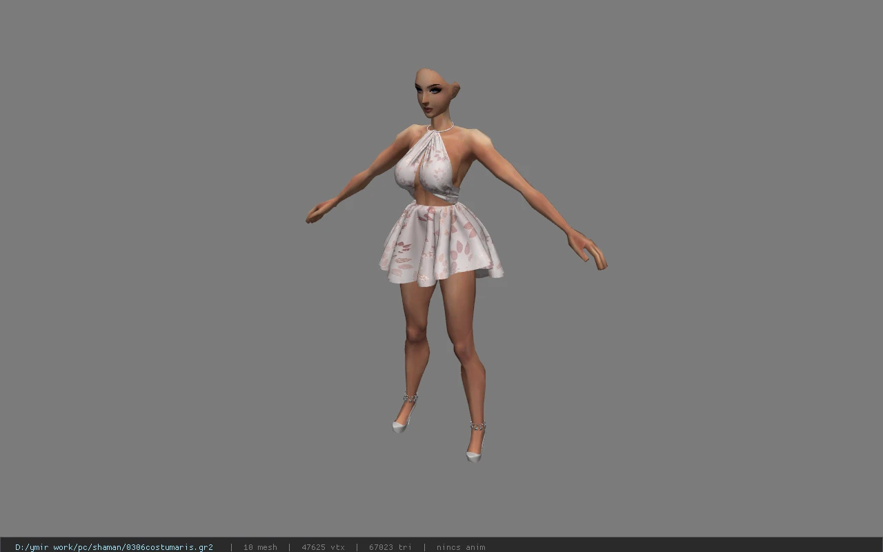 0306costumaris
