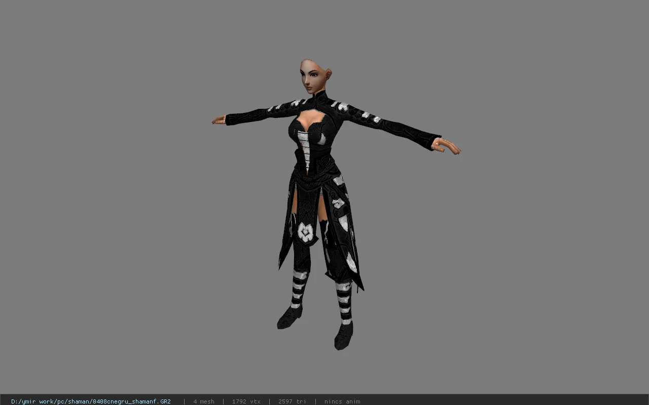 0408cnegru_shamanf
