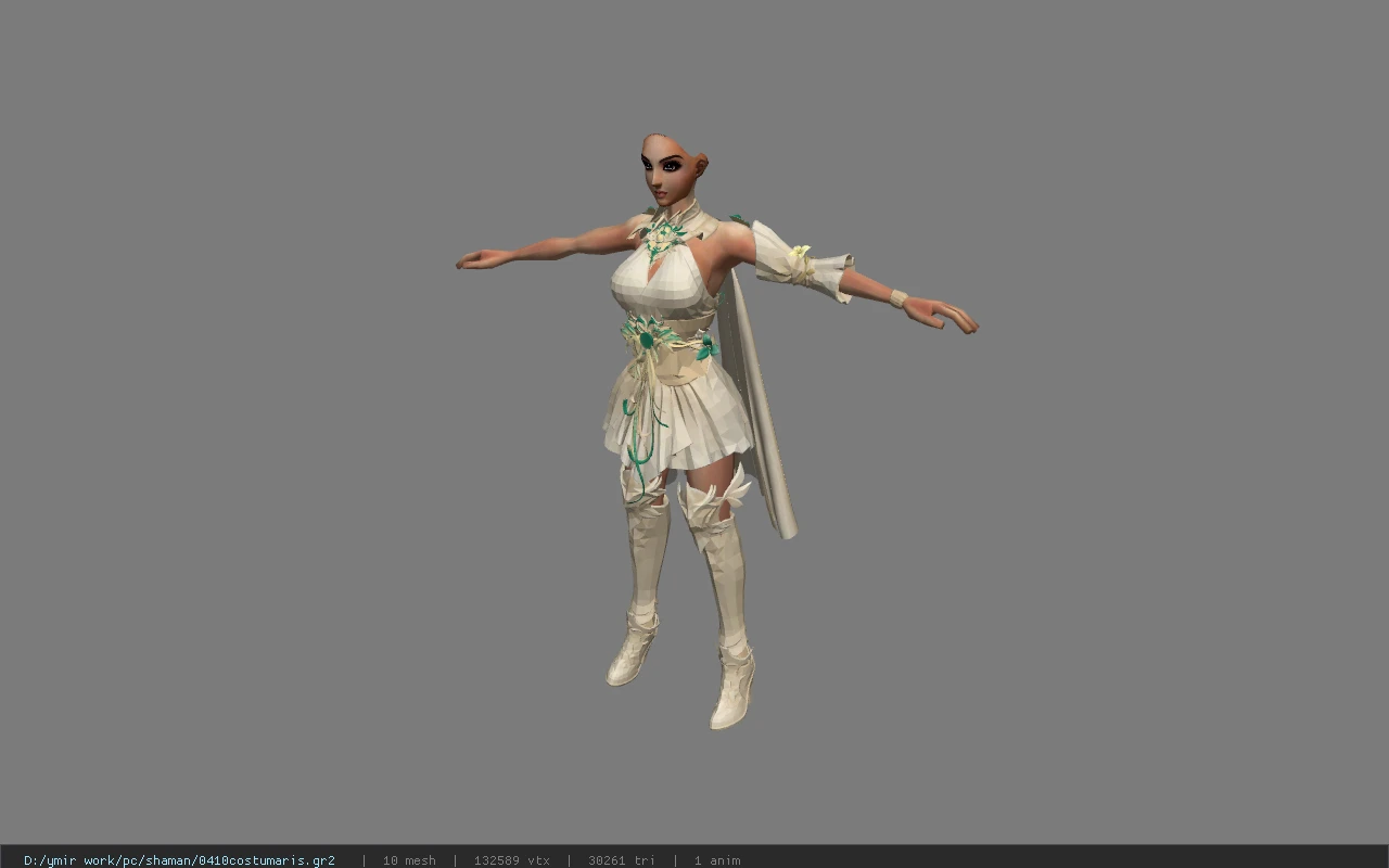 0410costumaris
