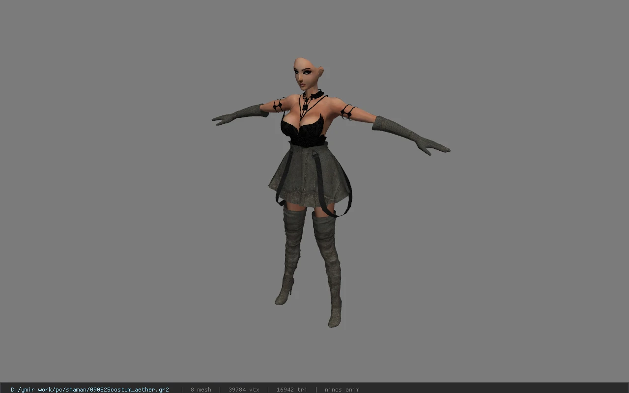 090525costum_aether