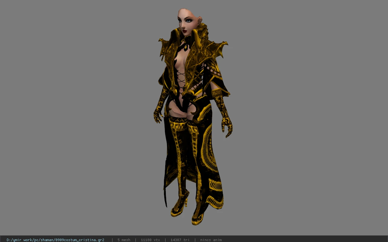 0909costum_cristina