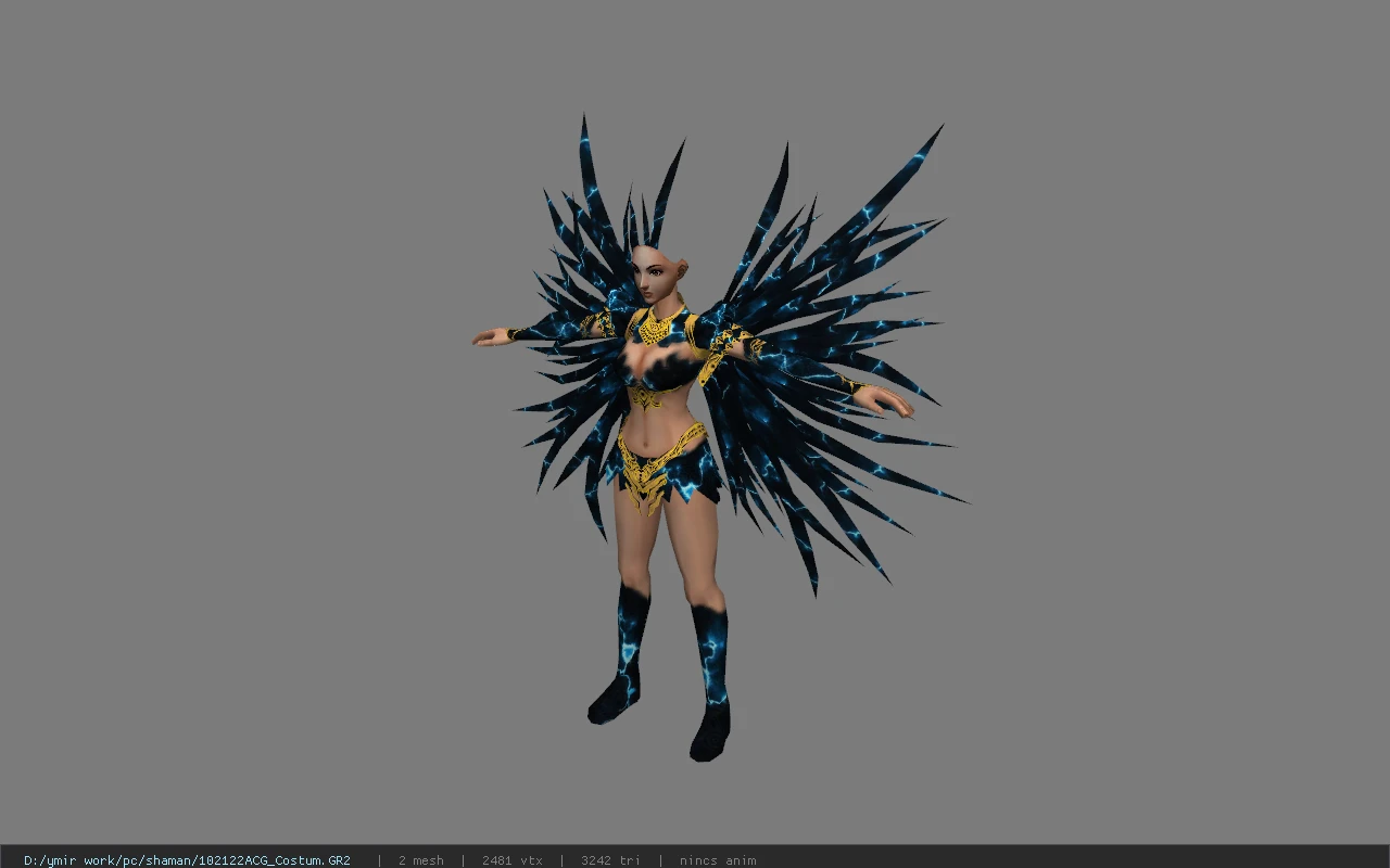 102122ACG_Costum
