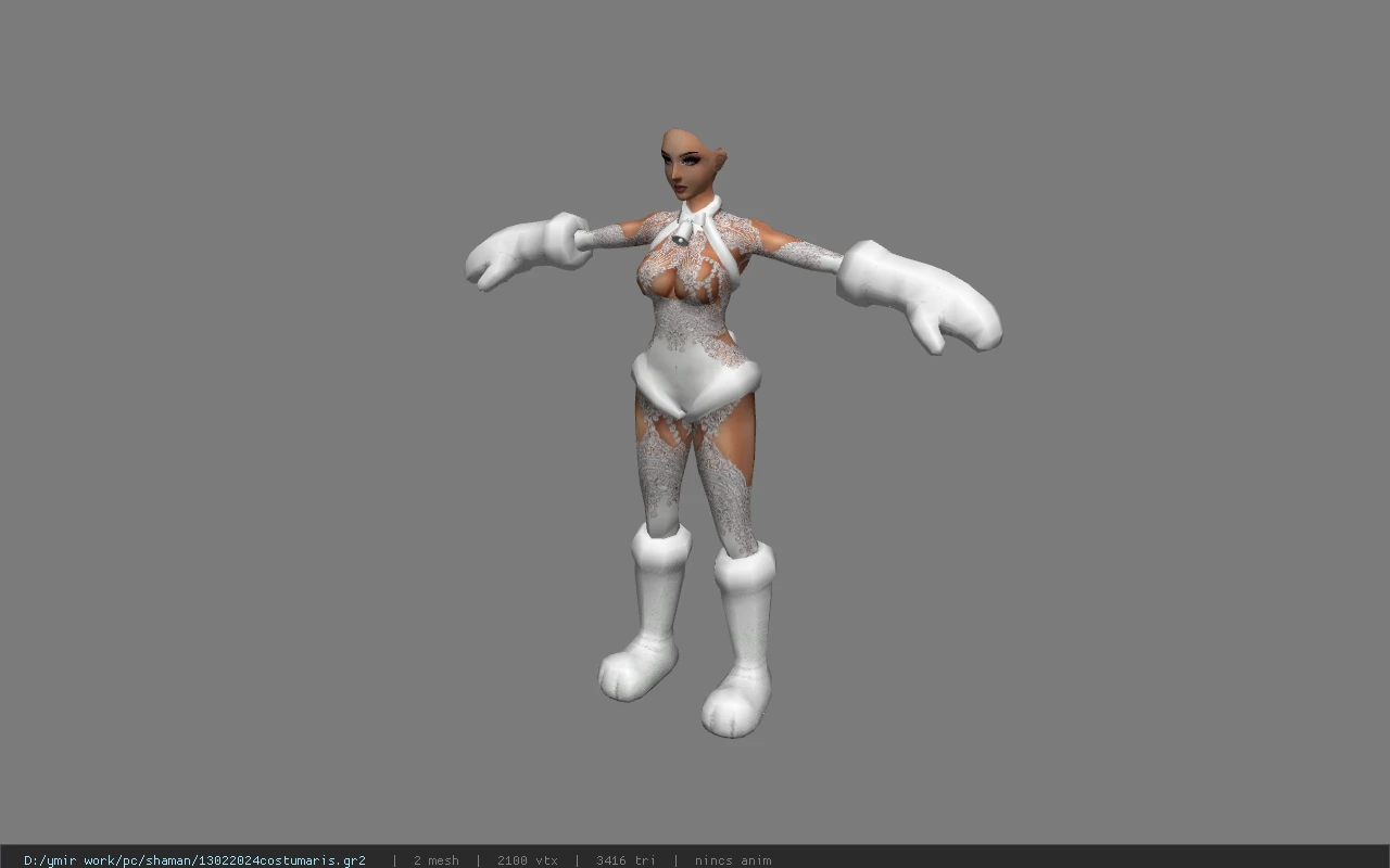 13022024costumaris