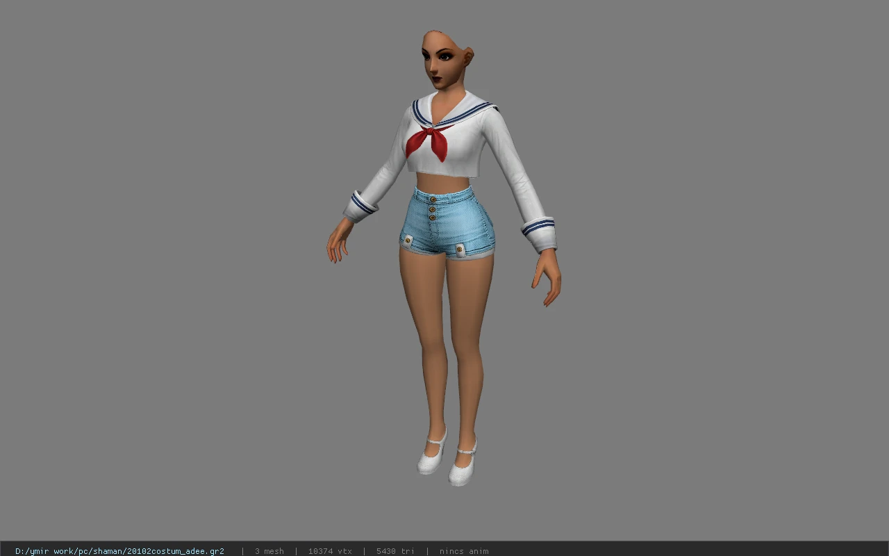 20102costum_adee