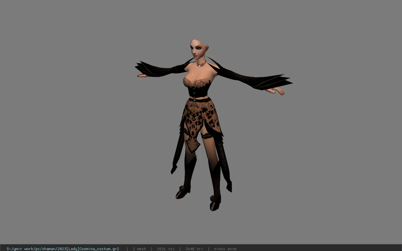 2023[Lady]Cosmina_costum