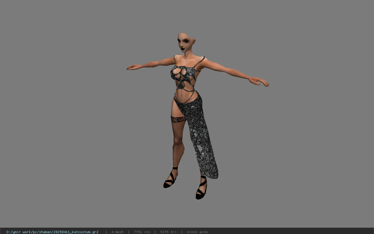 20250411_katcostum