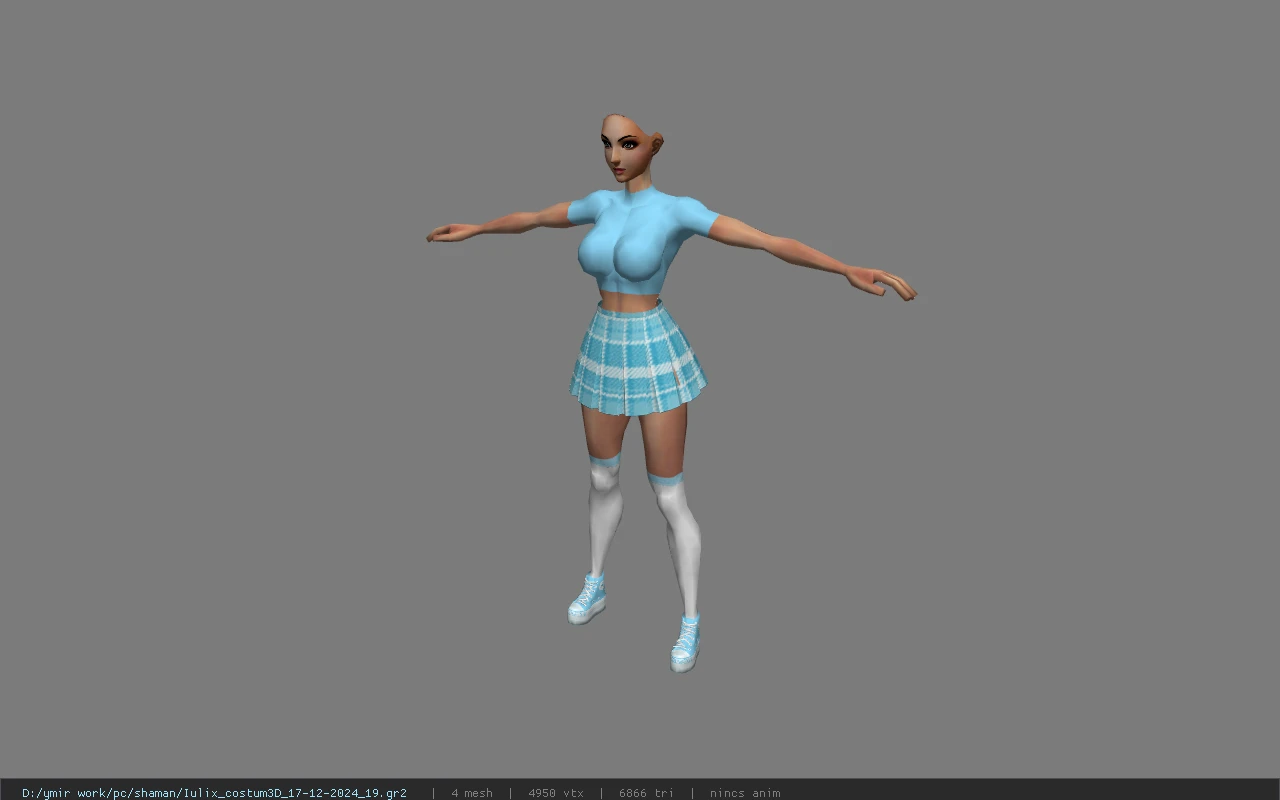 Iulix_costum3D_17-12-2024_19