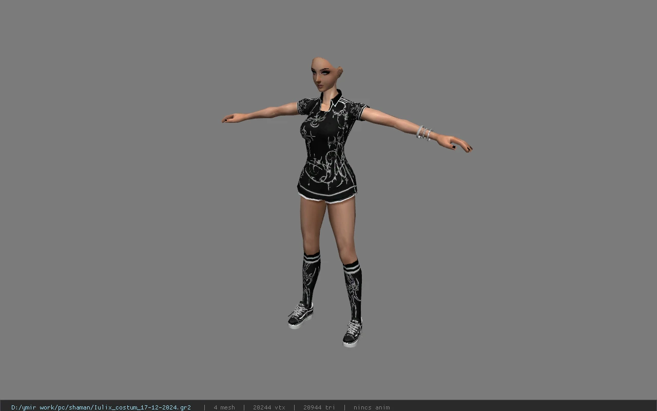 Iulix_costum_17-12-2024