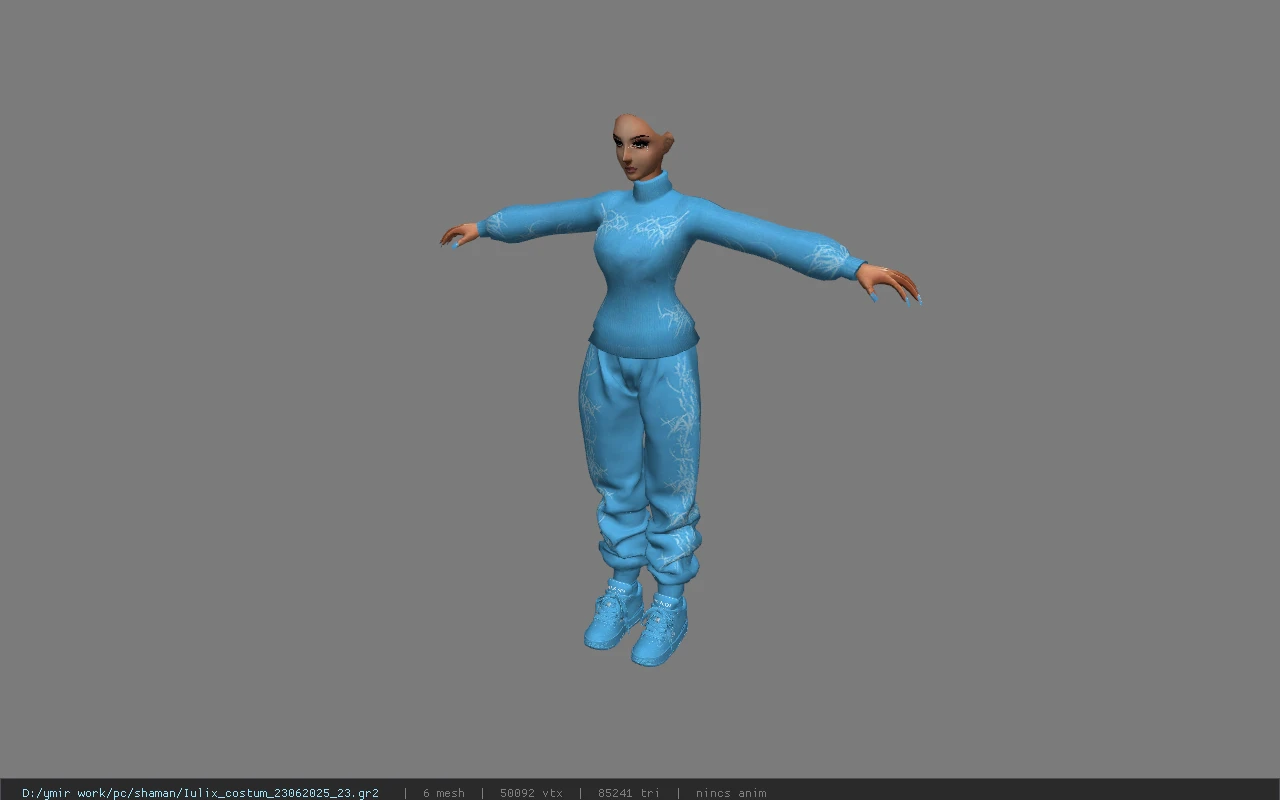 Iulix_costum_23062025_23