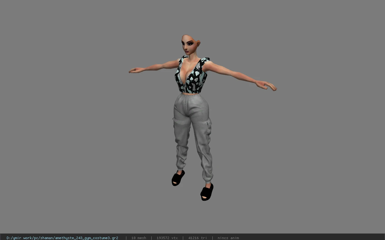 amethyste_243_gym_costume3
