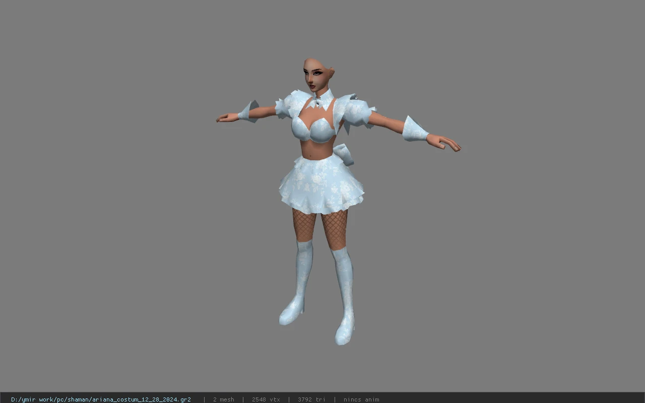 ariana_costum_12_28_2024
