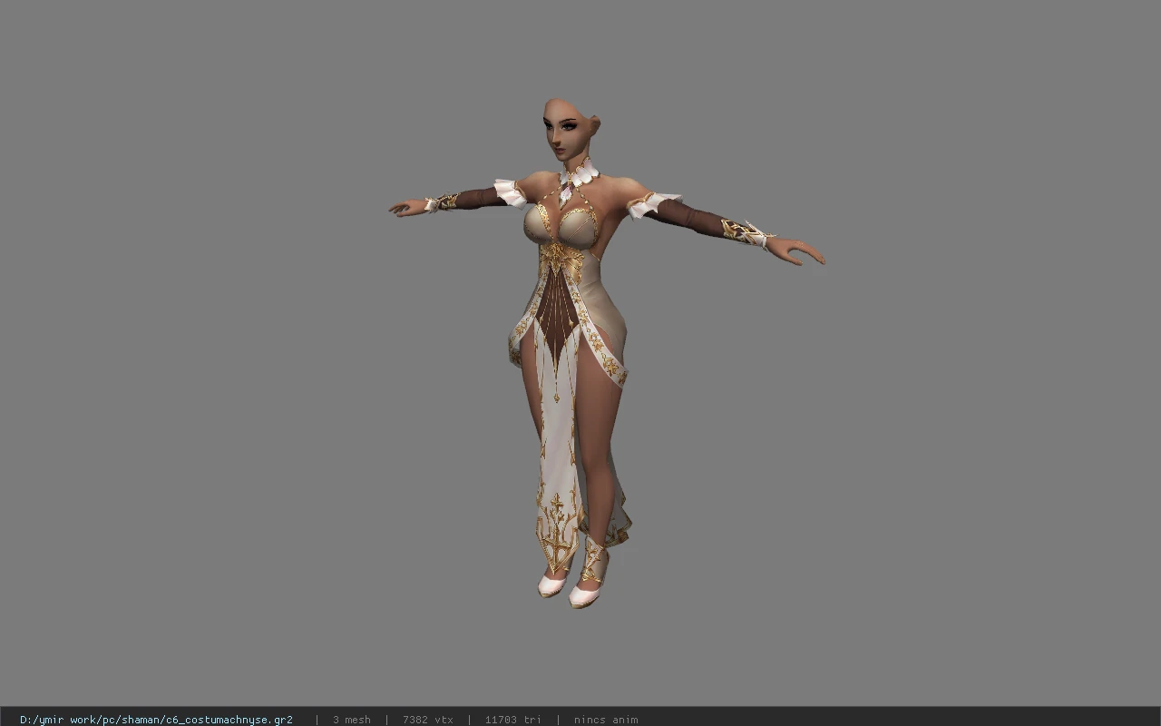 c6_costumachnyse
