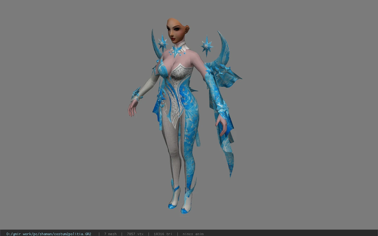 costum2politia