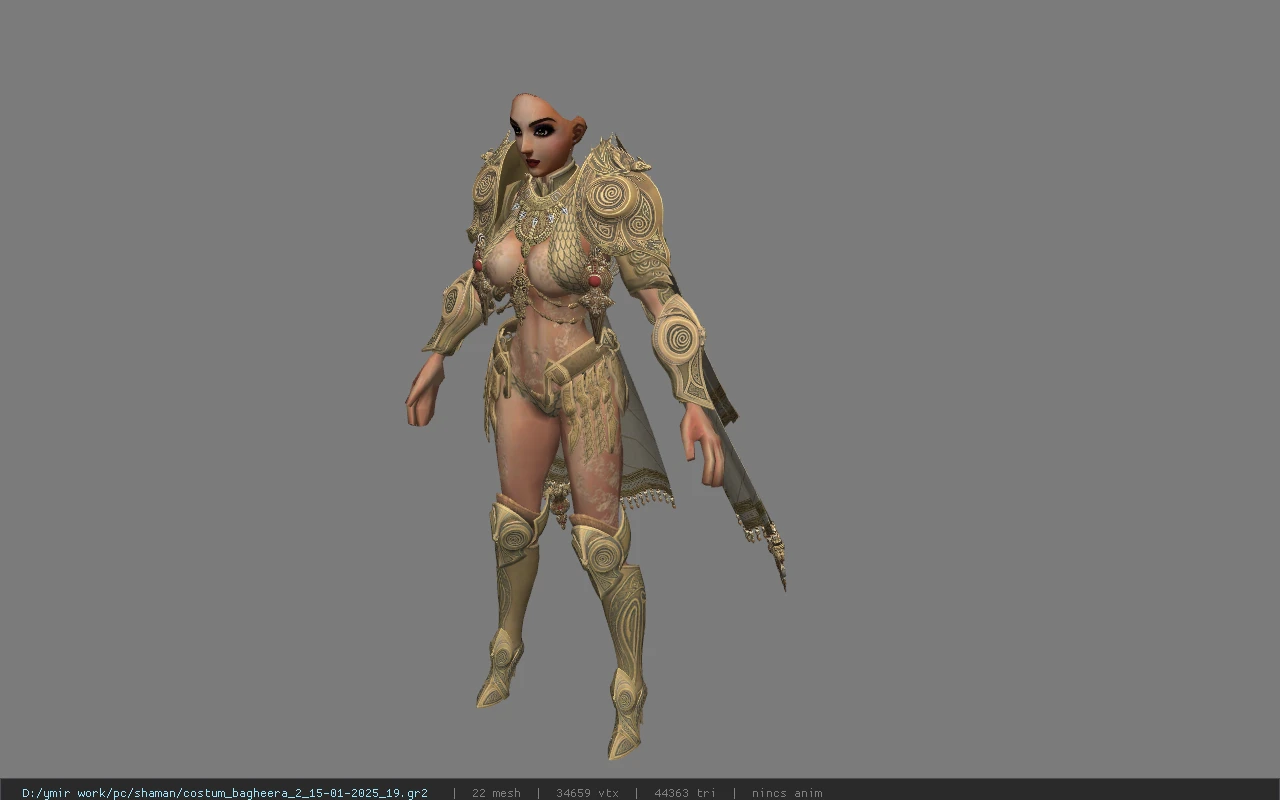 costum_bagheera_2_15-01-2025_19