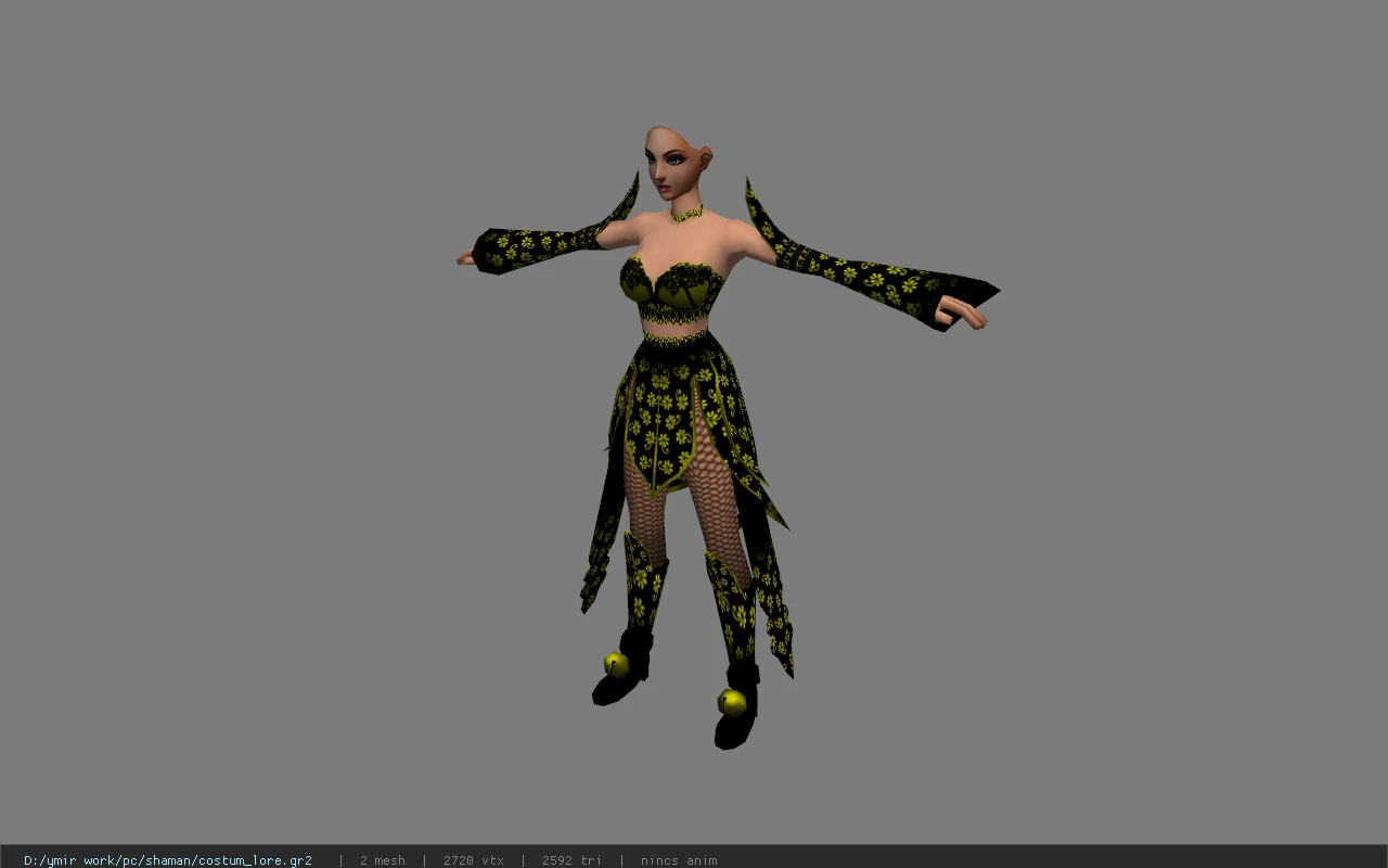 costum_lore