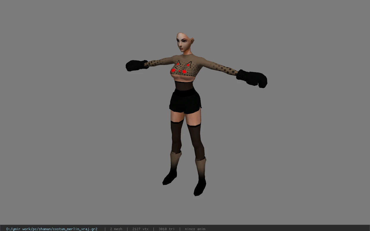 costum_merlin_vraj
