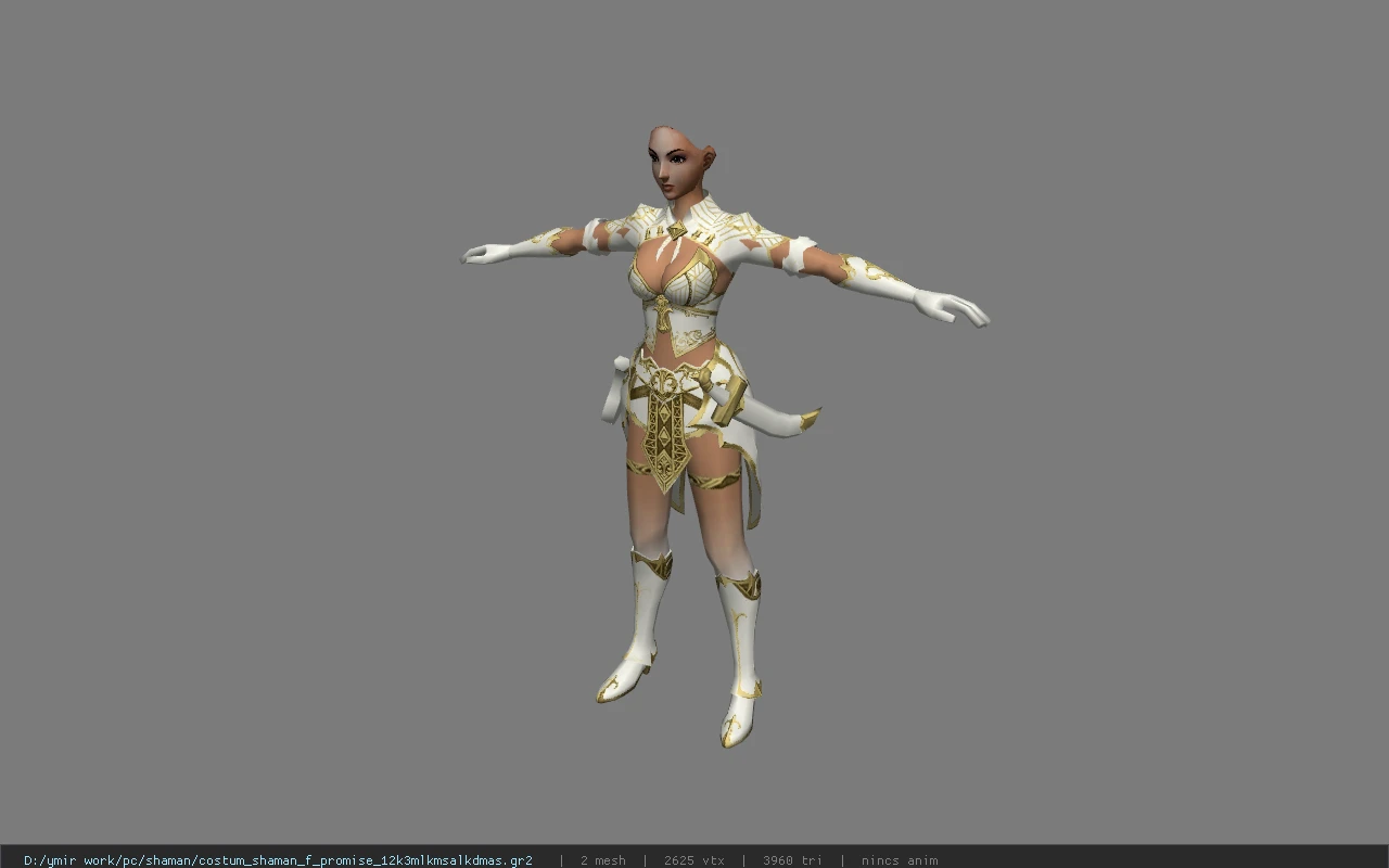 costum_shaman_f_promise_12k3mlkmsalkdmas