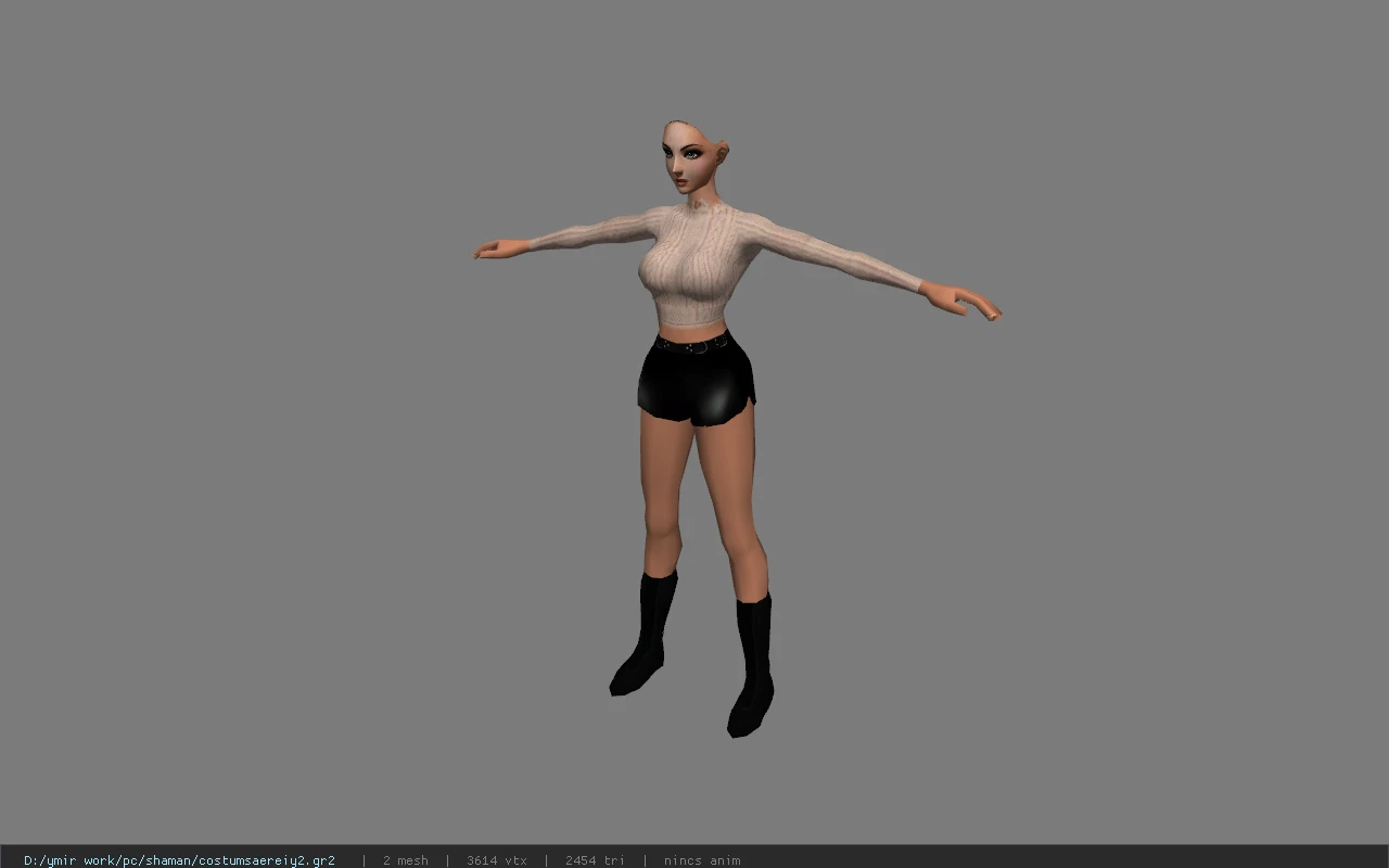 costumsaereiy2