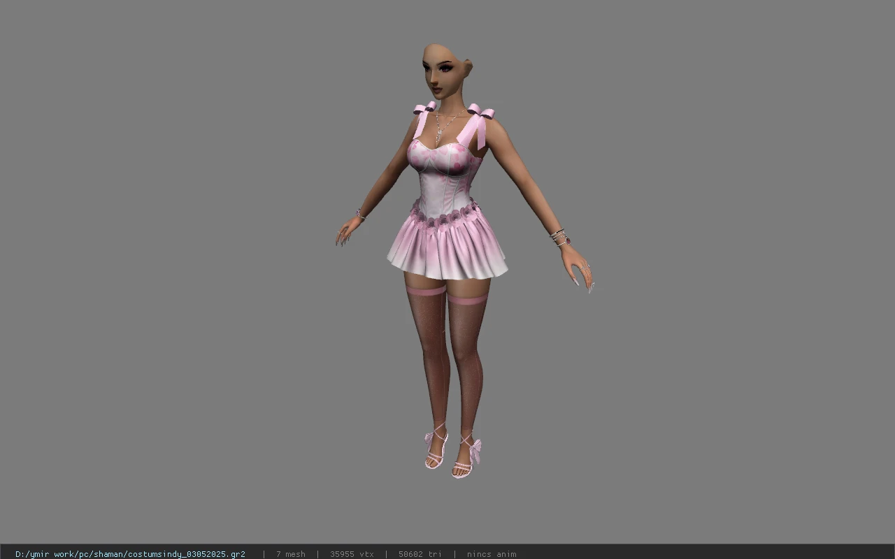 costumsindy_03052025