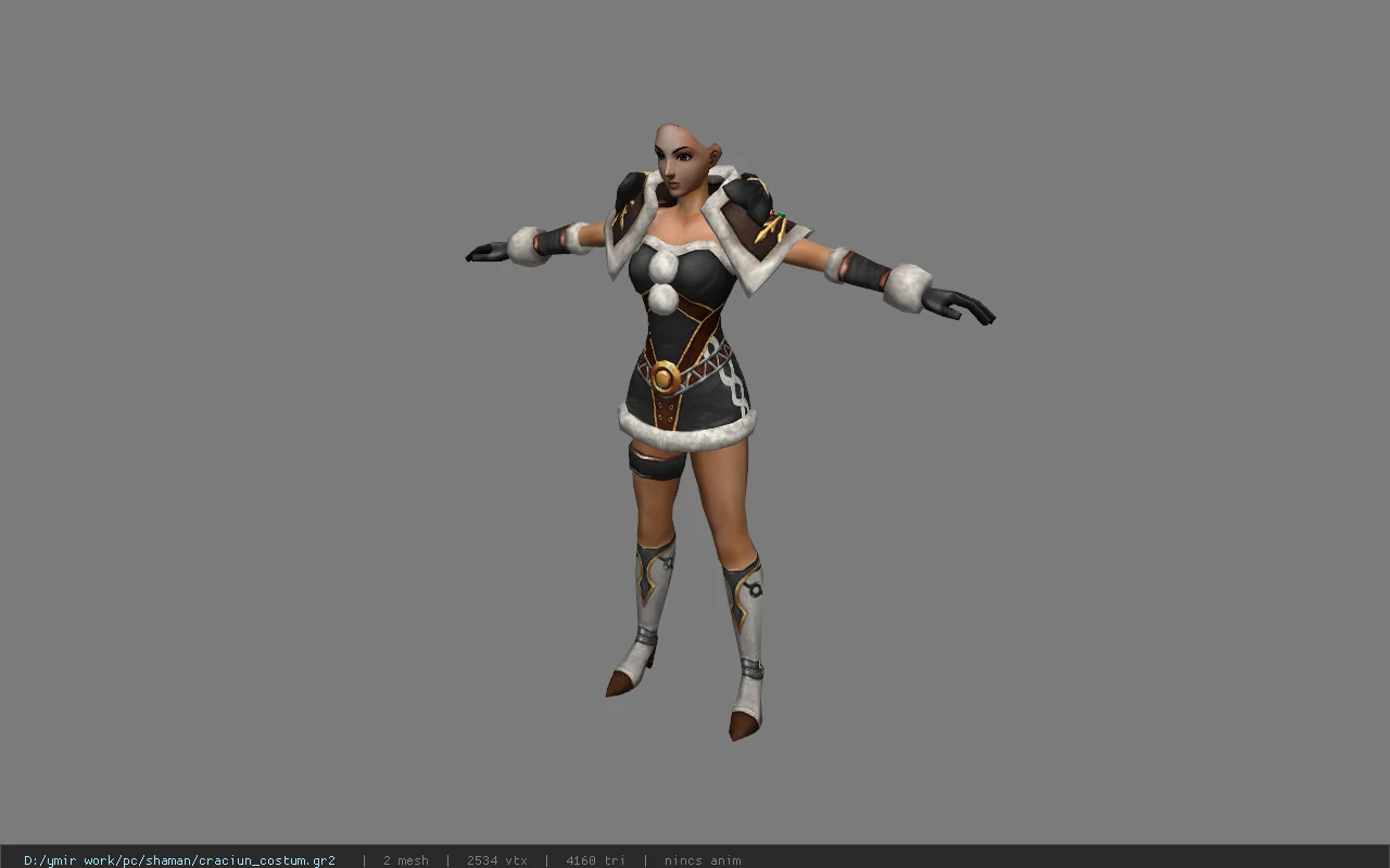 craciun_costum