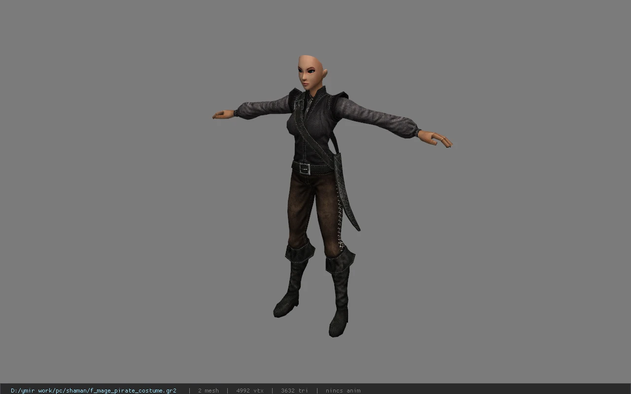 f_mage_pirate_costume